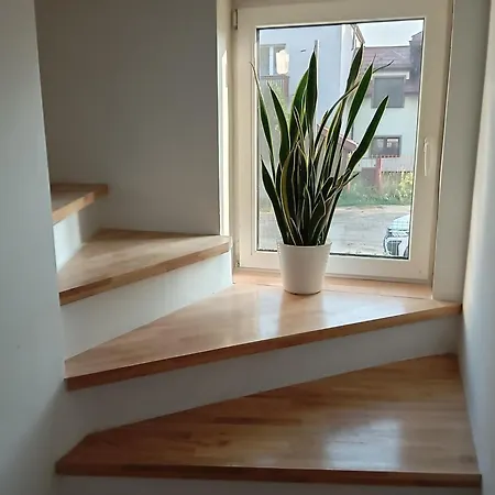 Spokojna Przy Lesie Apartment