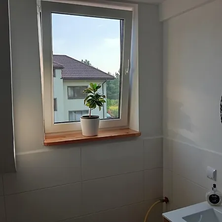 Spokojna Przy Lesie *