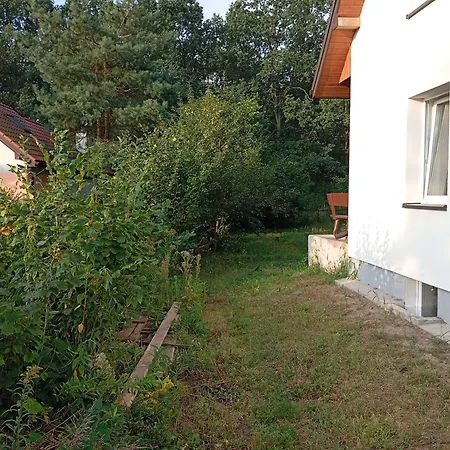 Spokojna Przy Lesie Apartment